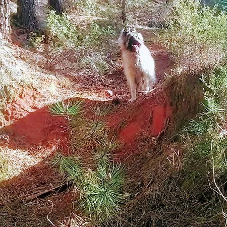 Les Granges